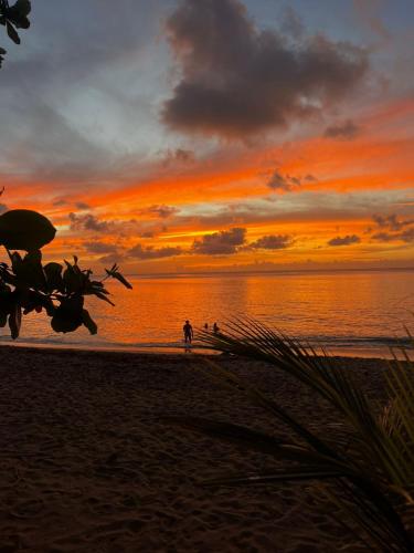 παραλία, Bleu Ocean in Ντεχάιες