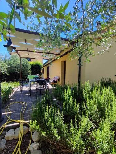  Casa Vacanze "Dimora Quercia" - Appartamento "Oliva" in Montefalco