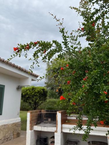Ideal house for two families with pool and barbecue