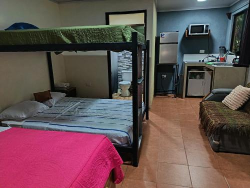 Apartment-Pura Vida-Wi-Fi-TV-WC-AC-Parqueo, Fortuna (foto 8)