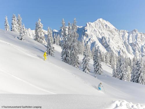 Apartment Jagerstüberl-60qm EG mit gr Terrasse by Interhome (Apartment Jagerstuberl-60qm EG mit gr Terrasse by Interhome) in Berg