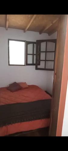 Casa Totem