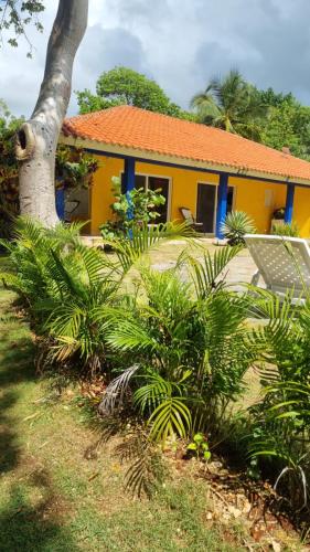 Mangobich in El Frances