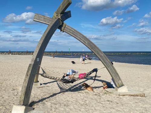 Edelstein am Meer, Damp
