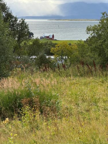 Stor leilighet nær flyplass, buss og natur in 科瓦洛斯勒塔