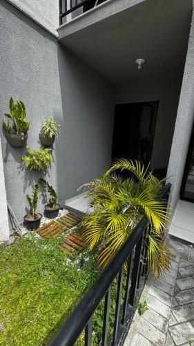 Studio Garden 01, Caruaru (foto 8)