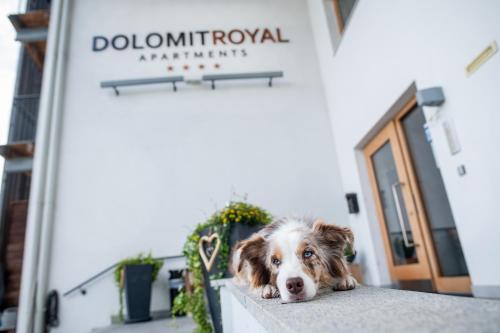 Accommodation in Sillian