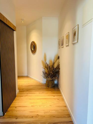 Luxury 2 bedroom apartment and garden in 波維茲