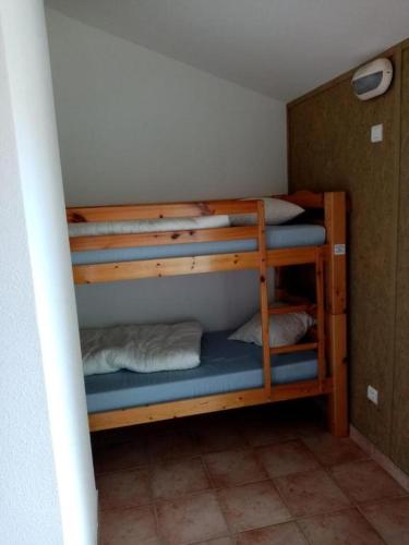 肖梅利克斯 Appartements independants dans chalet en Auvergne 3星级 民宿 景观