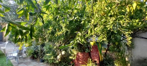 Il Giardino in Solarussa