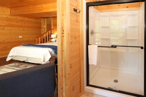 Morning Mist - image 11