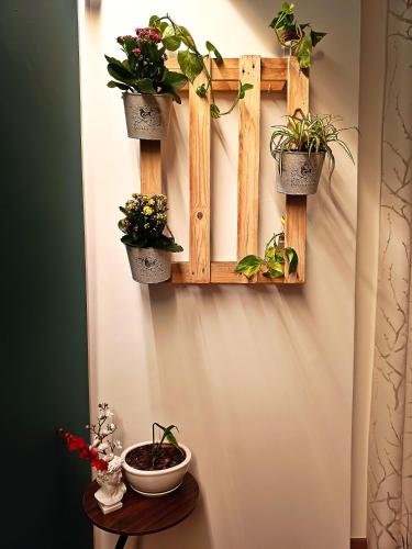 Serendipity in Poggiofranco