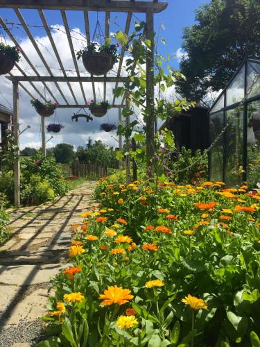  B&B Oase in Braunlauf