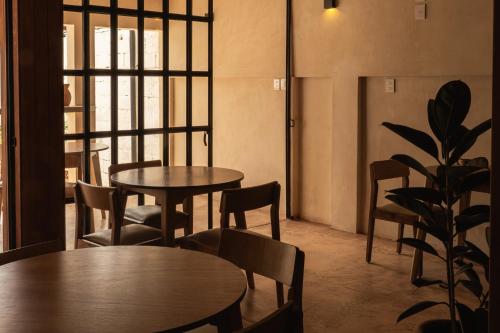 Casa Chati Hostel in San Cristobal De Las Casas