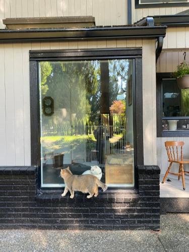 Cora Rivergarden Retreat in เมเปิลริดจ์ (BC)