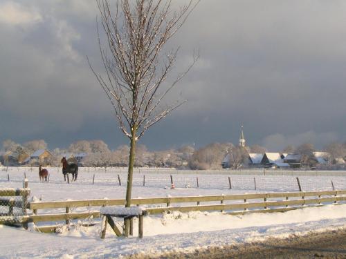 De Stormvogel