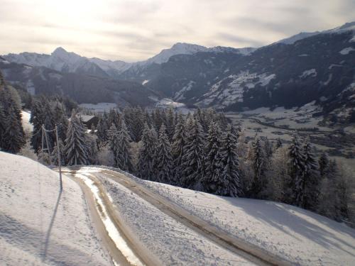 สภาพแวดล้อมโดยรอบ, Apartment Greidlerhof in โรร์แบร์ก