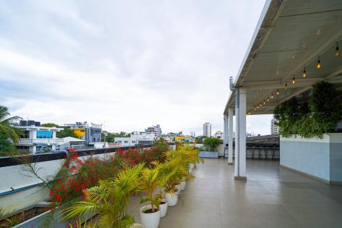 Balcony/terrace, Olive Hotel JP Nagar by Embassy Group near Bannerghatta National Park