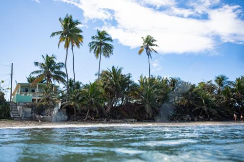 Pelican Reef in อกัวดา