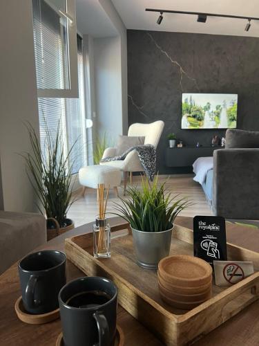 The Royal Pine Apartment Mavrovo in Mavrovo
