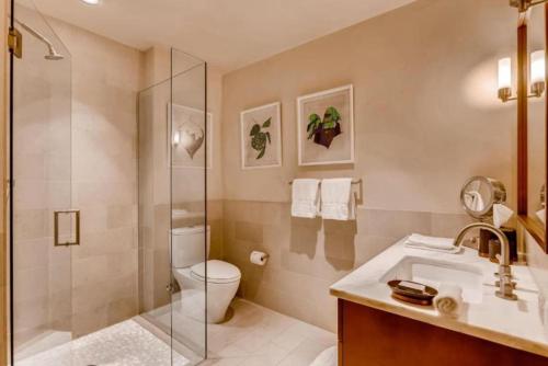 Vail Solaris Studio Den - image 12
