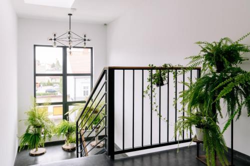 周邊環境, Pokoje Hotelowe LUPUS in 戈烏達普