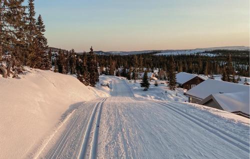 外部景觀, Cozy Home In Sjusjøen With Sauna in 斯幽斯耶恩