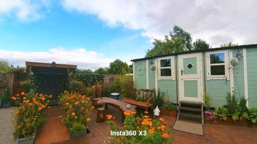 Alices Garden Two, York