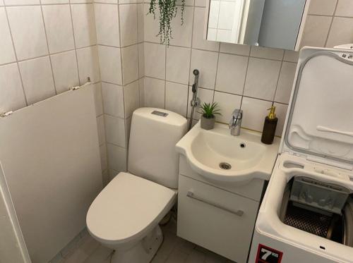 Kaupunkikoti keskustassa in เซย์นาโจคิ