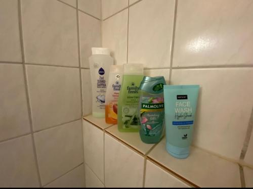 Kaupunkikoti keskustassa in เซย์นาโจคิ