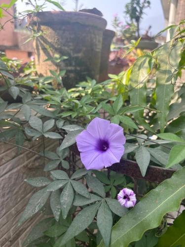 Hotel Saurabh in Srinagar