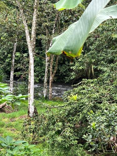 Peaceful Jungle Home River Access Arenal Views - image 3