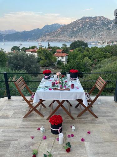 Gala Selimiye