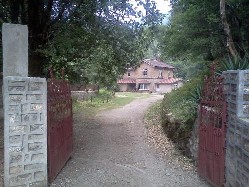 Raj Kot - image 3