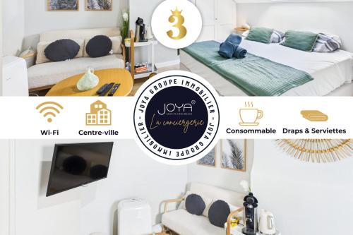 Les Troyes Rois - Location saisonnière - Troyes