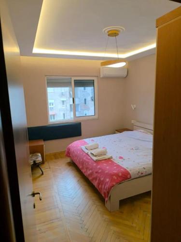 Lovely 1 1 Rental Ap In Myslym Shyri Tirana, Tirana (photo 2)