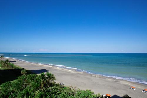 Jupiter Beach Resort & Spa - image 11