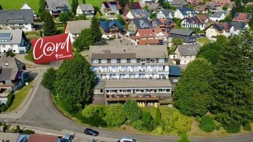 Alpina Löwen Hotel in Sankt Märgen, Deutschland
