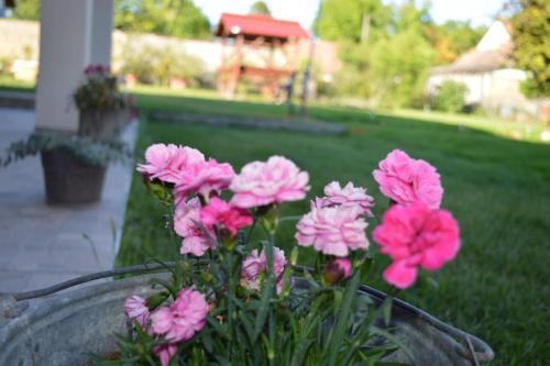 Veranda Apartman in Kiskunhalas