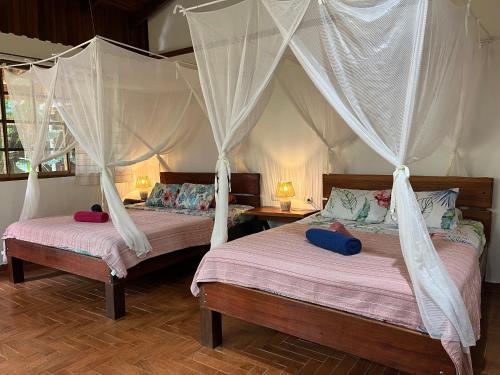 Hotel Pura Vida in Puerto Viejo de Talamanca