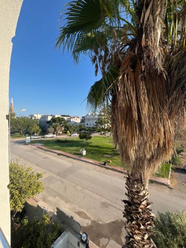 Güneş SUİT, Antalya (fotografie 3)