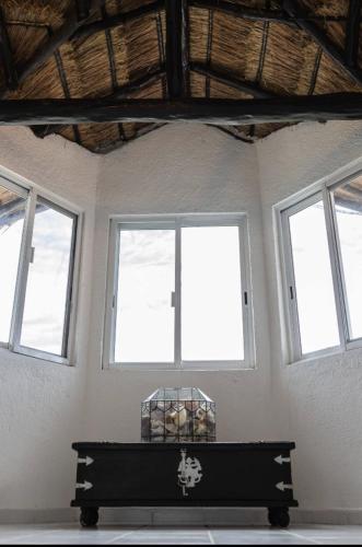 Cozy studios, walking distance to the beach, Puerto Morelos (fotografie 7)