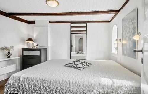 Beautiful Apartment In Tommerup in Odense SV