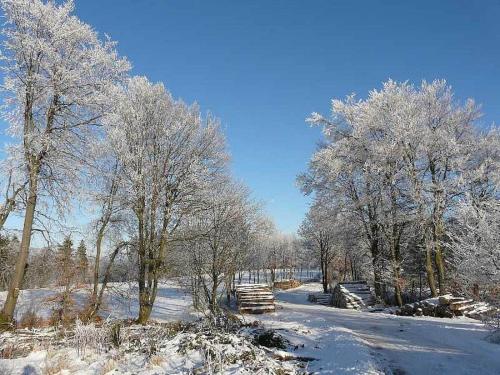 設施, Weidenhauser Mill in 恩特布呂克