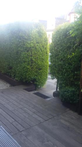 Cambridge House - image 14