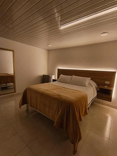 Alojamiento Hotel The hive suite - image 5