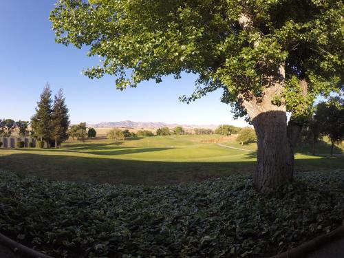 Ridgemark Golf Club and Resort - 전망