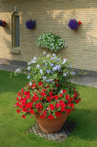 B&B Bloemenweelde - image 10