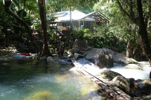 Daintree Secrets Rainforest Sanctuary