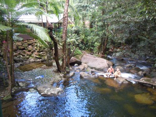 Daintree Secrets Rainforest Sanctuary